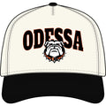 Bulldogs Frame Two-Tone Cap